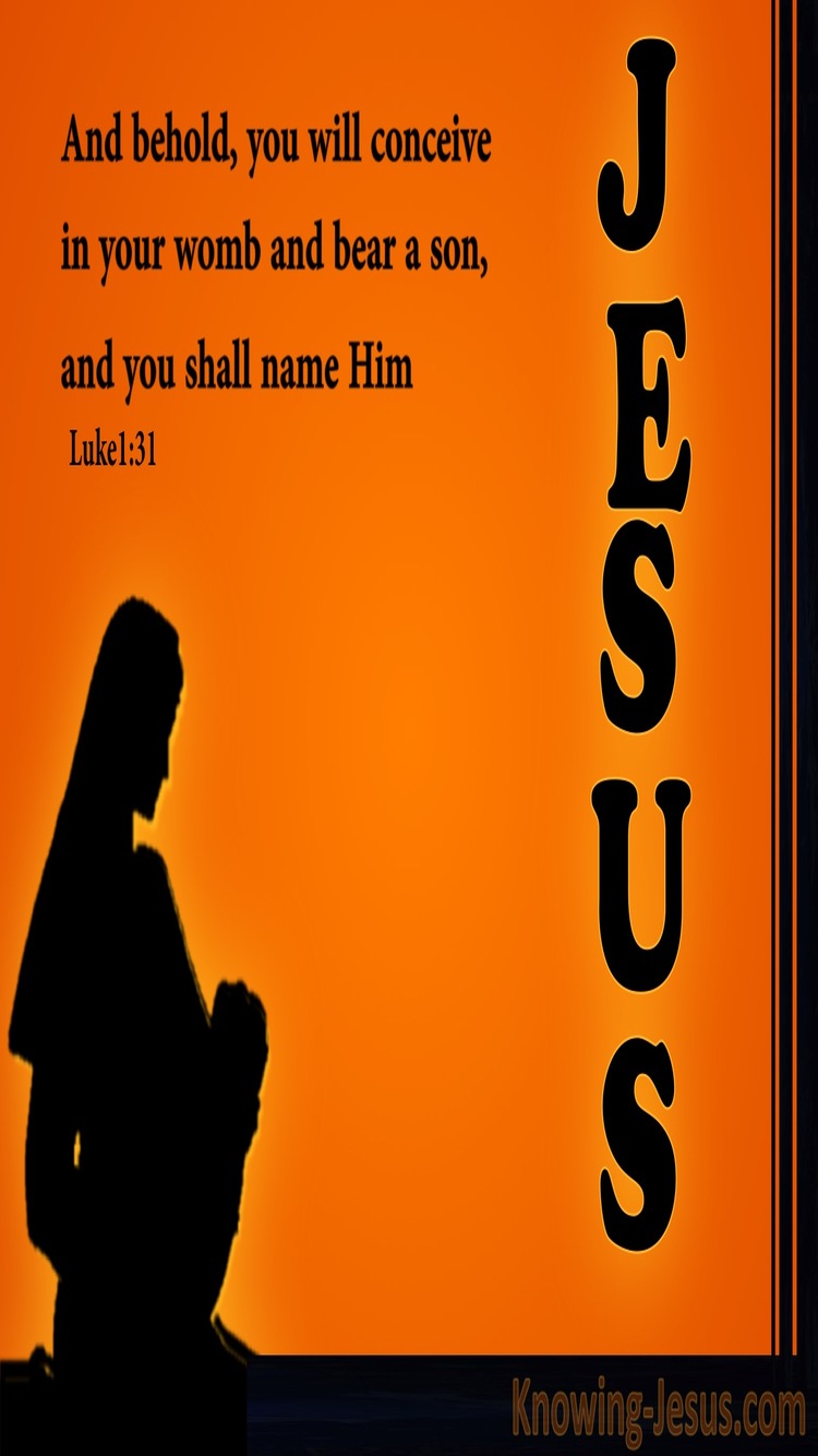 Luke 1:31 You WIll Call His Name Jesus (orange)